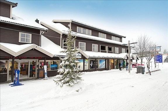 Skitorget Trysil